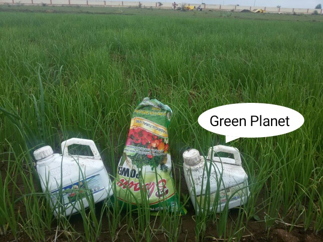 Apple iphone shop Ahmednagar